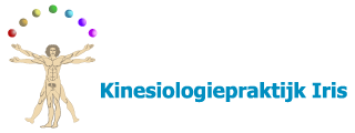 Kinesiologie Iris Logo